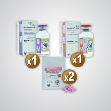 Ciclo de esteroides aumento de masa muscular Hombre BD